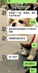 -云南吴氏嘉美医疗美容医院