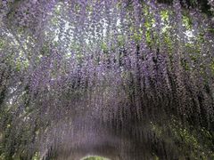 -同里国家湿地公园
