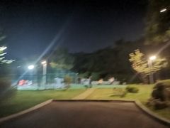 -羊山湖公园