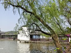 -天下玉苑