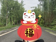 -白鹭湾湿地公园