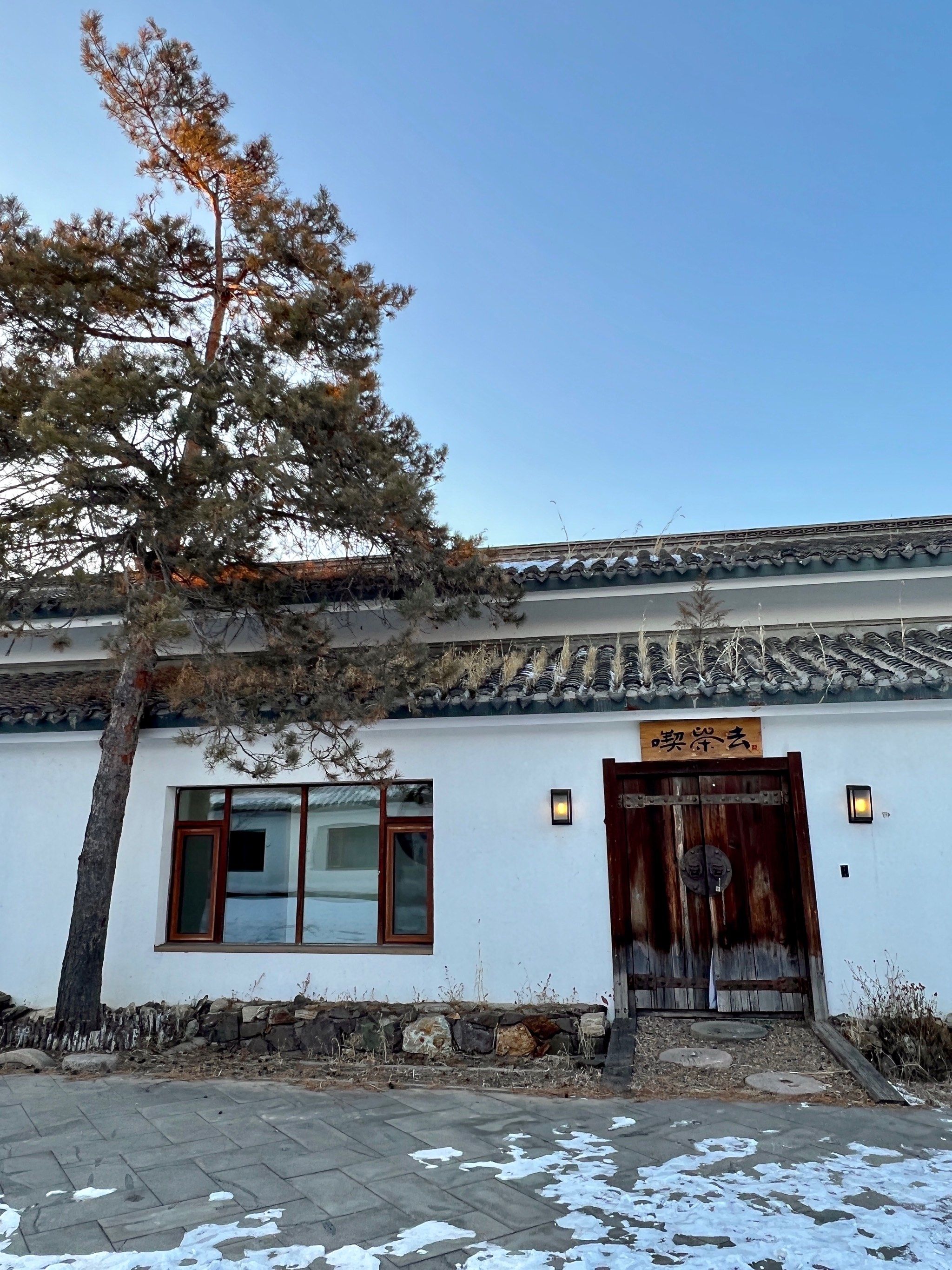 长春|闲来无事 不如吃茶去🌿
