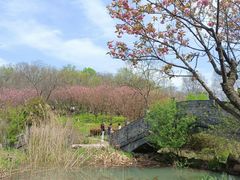 -南京市江宁方山