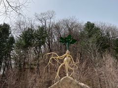 -丹东天桥沟景区