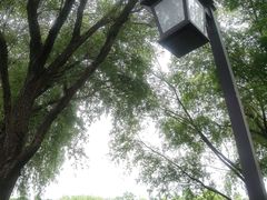 -长兴太湖图影湿地文化园