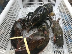 -盒马鲜生(大成店)