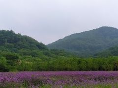 -南京市无想山景区