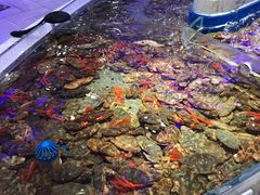 -澜悦港海鲜体验主题餐厅