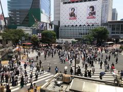 -涩谷全向十字路口
