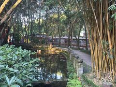-土砂锅生态山庄·非遗砂锅雅鱼