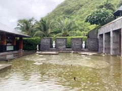 -日落吧·海景咖啡厅·餐酒吧·鸡尾酒·下午茶·乐队表演·浪漫夕阳·三亚文华东方酒店