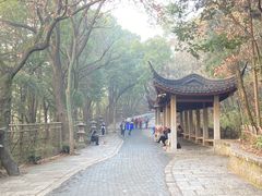 -灵岩山风景区