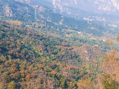-北京鹫峰国家森林公园