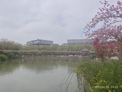 -嘉定紫藤园