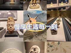 -四川大学博物馆