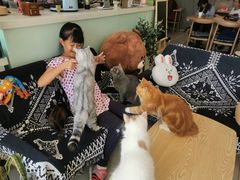 -平行世界·猫咖(首经贸店)