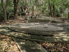 -上海佘山国家森林公园天马山园