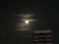 -Hi City·城市之巅