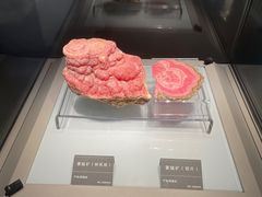 -安徽省地质博物馆