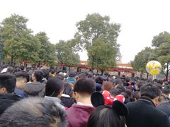 -迪士尼乐园停车场
