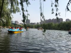 -长白岛森林公园