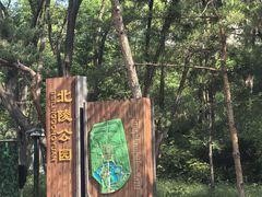 -北陵公园