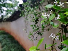 -潜口民宅博物馆
