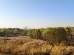 -黄河花园口旅游区