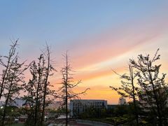 -四川省南充市白塔中学