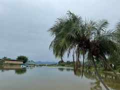 -月亮湾湿地公园