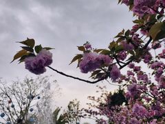 -茅草房·河畔园林火锅