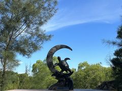 -广东惠东海龟国家级自然保护区