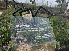 -苏州上方山国家森林公园