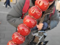 -前门张记涮肉(前门店)
