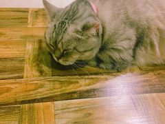 -小时光咖啡馆(开森度假森林店)
