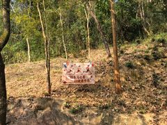 -广州白江湖森林公园