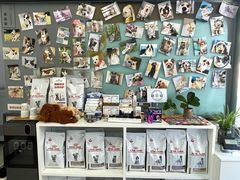 -爱妮康宠物医院·干细胞免疫细胞·肿瘤·心脏(张江店)