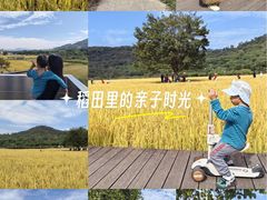 -艾米稻香小镇
