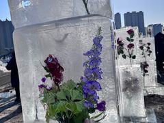 -长春市南湖公园