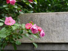 -颐和路民国时期公馆风貌区