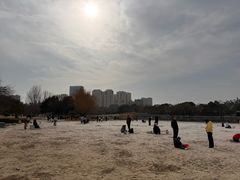 -滨湖塘西河公园