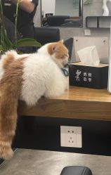-蚂蚁造型俱乐部