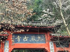 -凤栖山