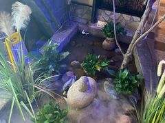 -小放牛炒菜馆(中山路乐汇城店)