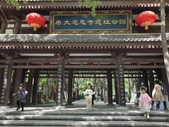 -大慈恩寺(大雁塔)