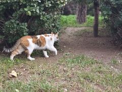-迎泽公园