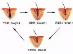 -LJOY丽锦造型·烫发染发
