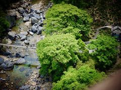 -石台牯牛降景区