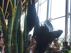 -Seesaw Coffee(朝阳大悦城店)