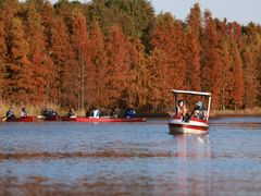 -上海海湾国家森林公园